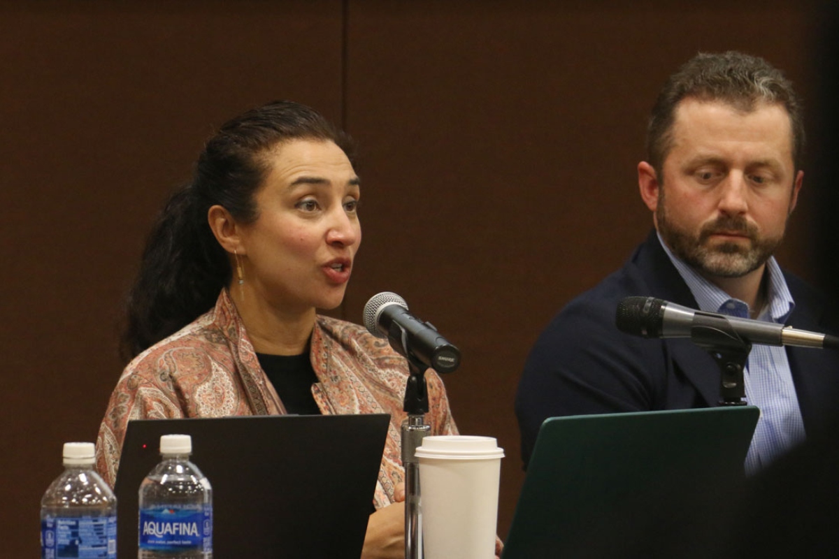 Emergency medicine physician Rohini Haar (left) and New Life Centers Chief Executive Officer Matt DeMateo provide testimony to the Illinois Accountability Commission during its Dec. 18 public meeting. (Capitol News Illinois photo by Maggie Dougherty)
