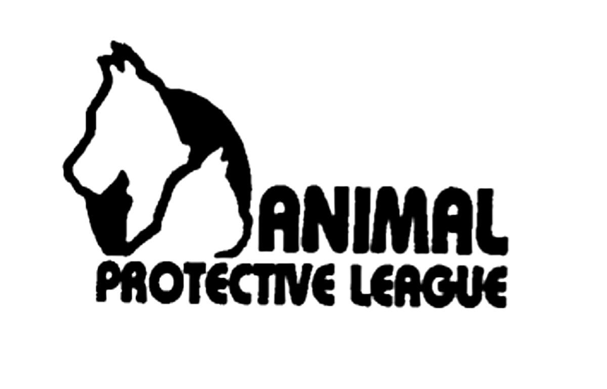 APL Logo