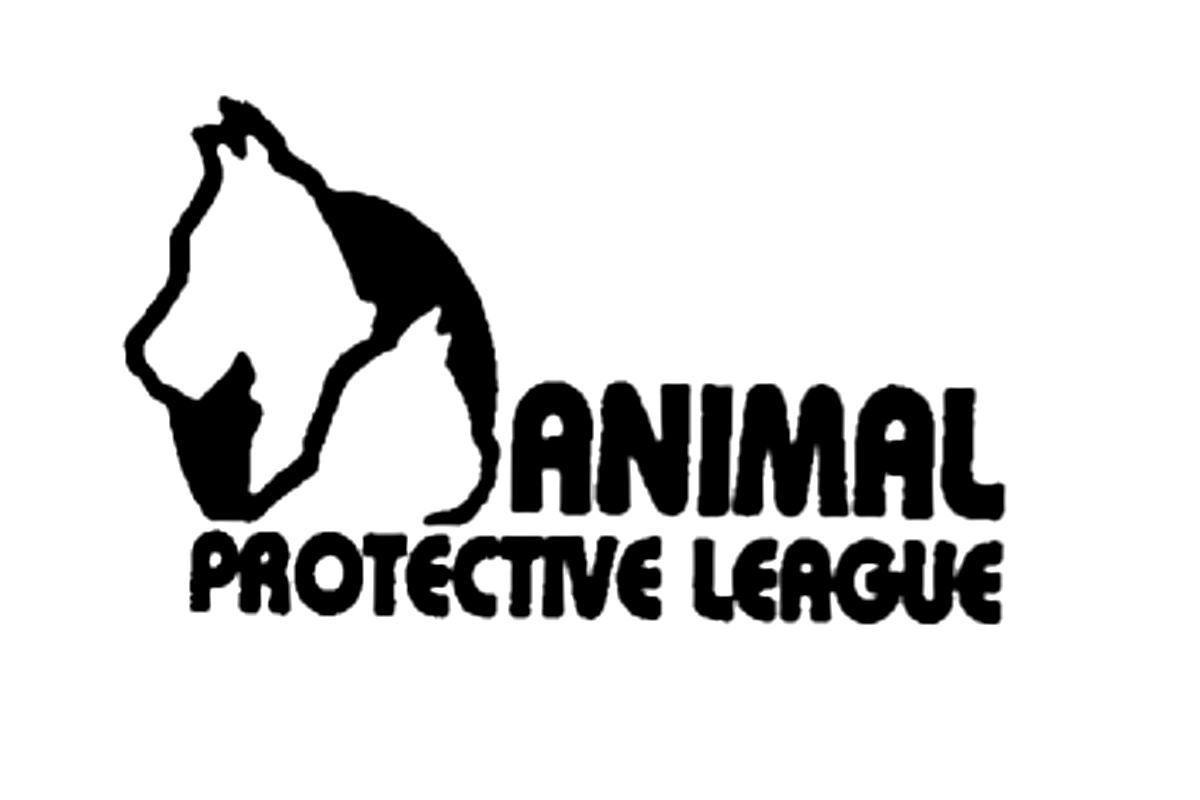 APL Logo