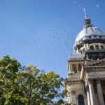 A flock of birds flies past the dome of the Illinois Capitol in Springfield on Oct. 30, 2025. (Capitol News Illinois photo by Jerry Nowicki)