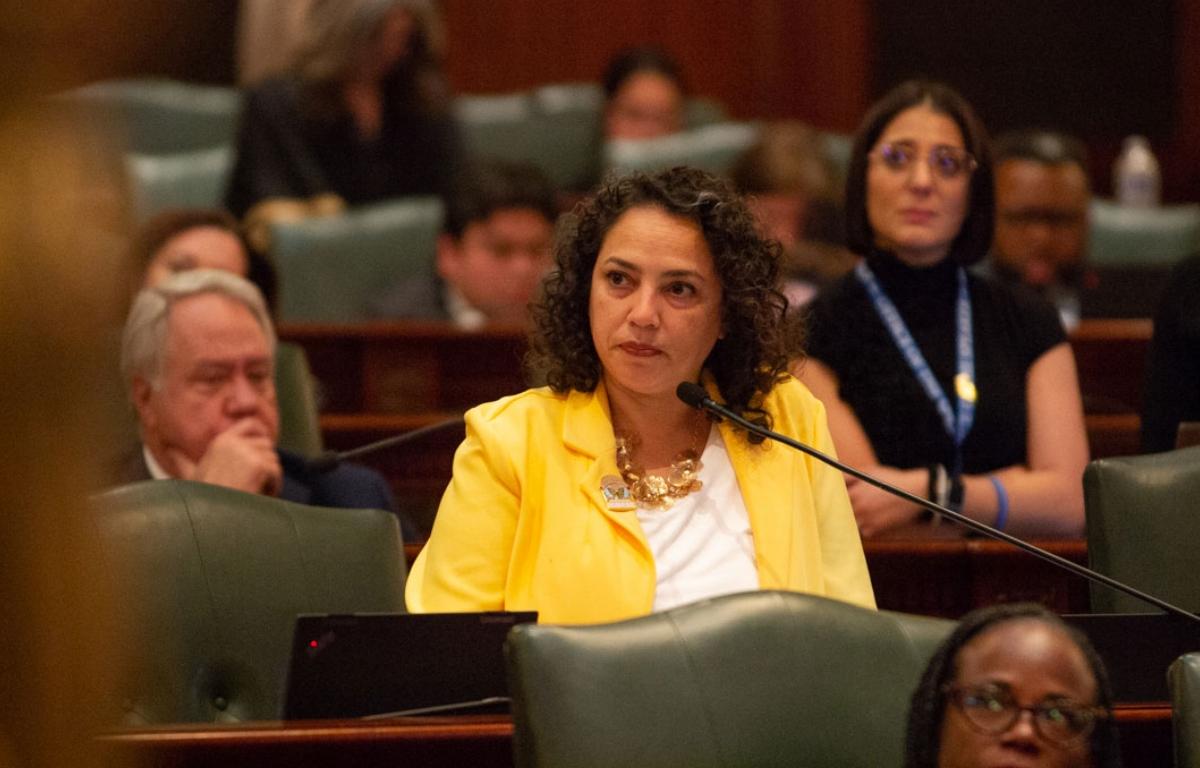 Rep. Lilian Jiménez speaks on the House floor during the October 2025 veto session. (Capitol News Illinois photo by Jerry Nowicki)