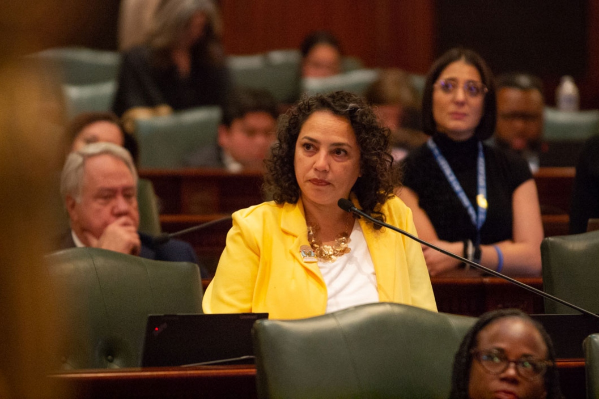 Rep. Lilian Jiménez speaks on the House floor during the October 2025 veto session. (Capitol News Illinois photo by Jerry Nowicki)