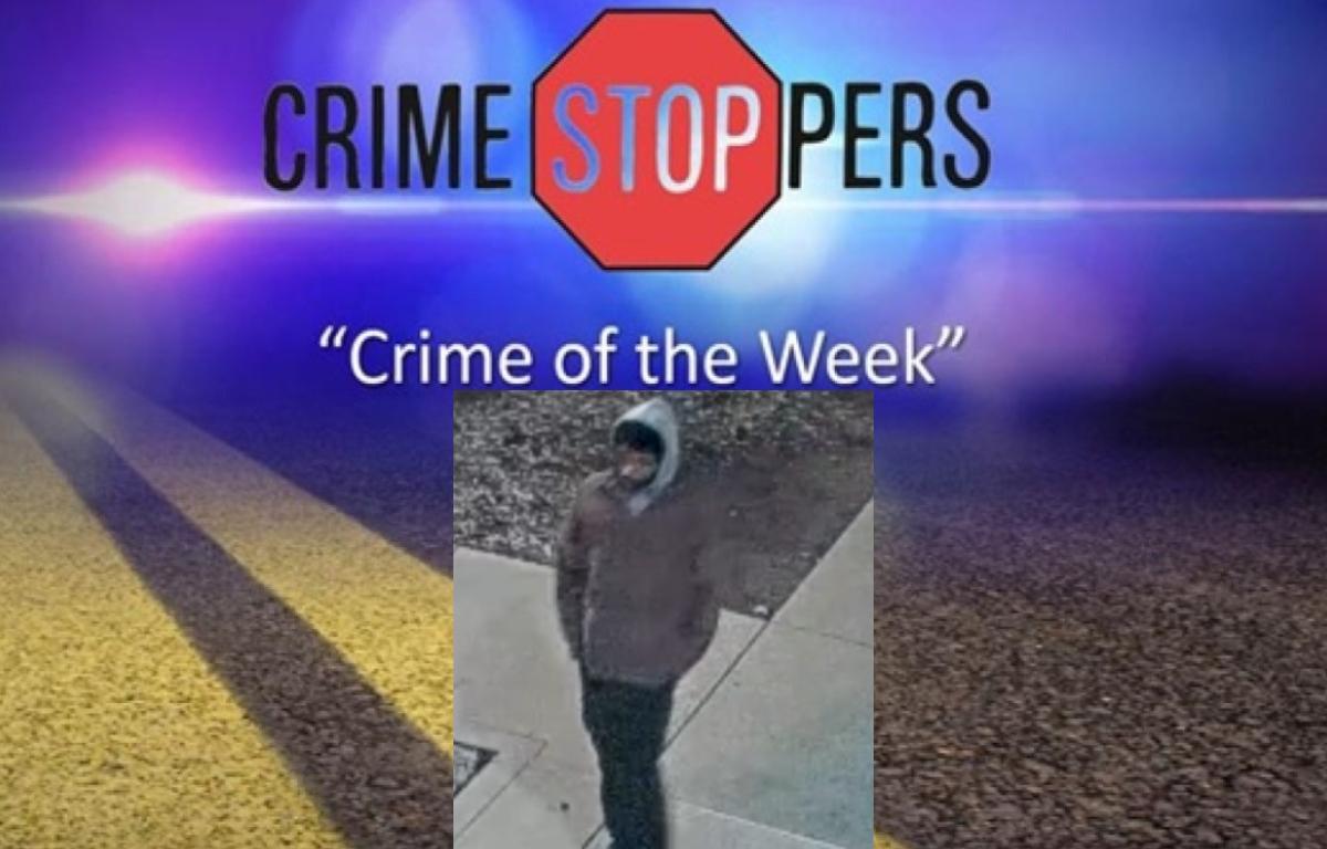 Can you help identify this suspect in a November, 2025 criminal damage incident?