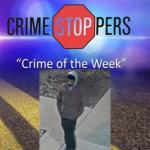 Can you help identify this suspect in a November, 2025 criminal damage incident?