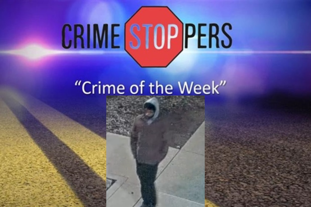 Can you help identify this suspect in a November, 2025 criminal damage incident?