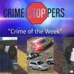 Can you help identify these suspects who allegedly stole electronics from Best Buy?