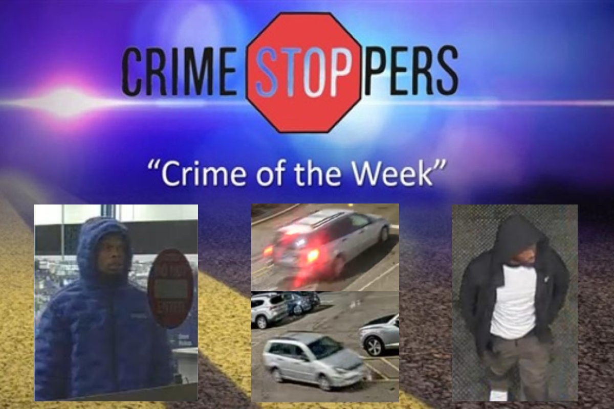 Can you help identify these suspects who allegedly stole electronics from Best Buy?