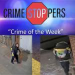 Can you identify this suspect, accused of causing damage and stealing copper from a Springfield church?