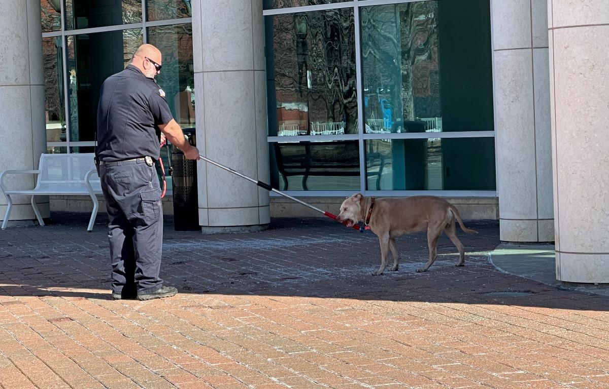 A Sangamon County Animal Control officer responds to a call of a stray dog Wednesday morning outside the Abraham Lincoln Presidential Library and Museum.