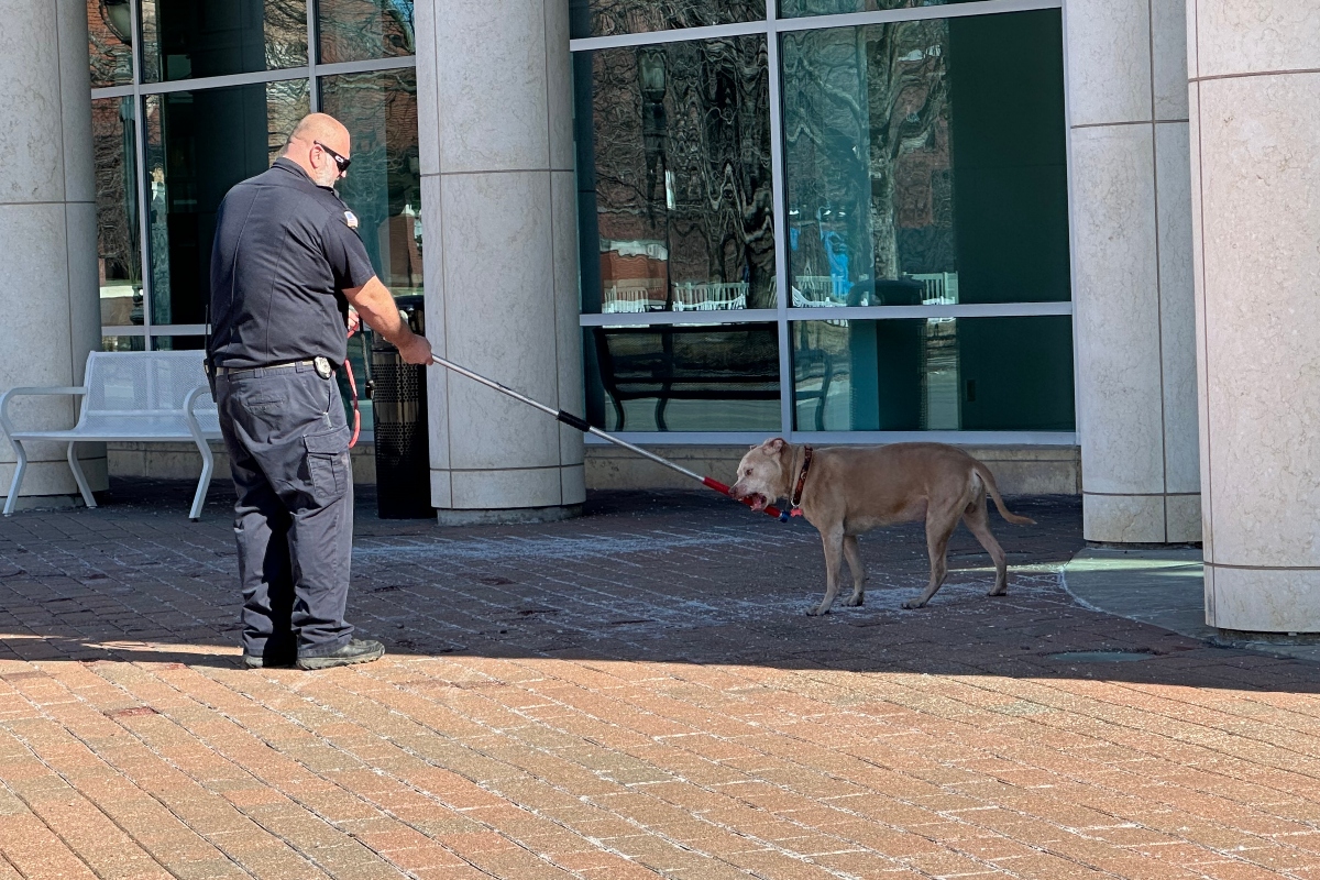 A Sangamon County Animal Control officer responds to a call of a stray dog Wednesday morning outside the Abraham Lincoln Presidential Library and Museum.