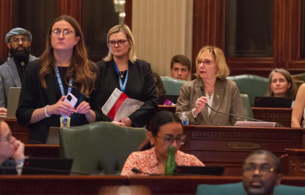 Rep. Robyn Gabel has filed a motion to take a second vote on a bill that would give state regulators authority to review and approve homeowners’ insurance rates in Illinois. (Capitol News Illinois file photo by Jerry Nowicki)