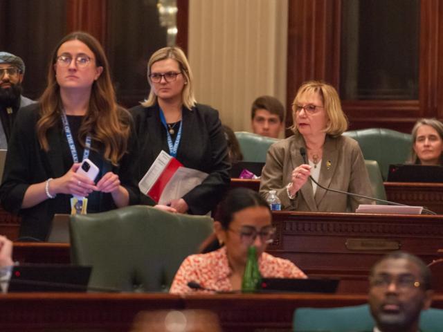 Rep. Robyn Gabel has filed a motion to take a second vote on a bill that would give state regulators authority to review and approve homeowners’ insurance rates in Illinois. (Capitol News Illinois file photo by Jerry Nowicki)
