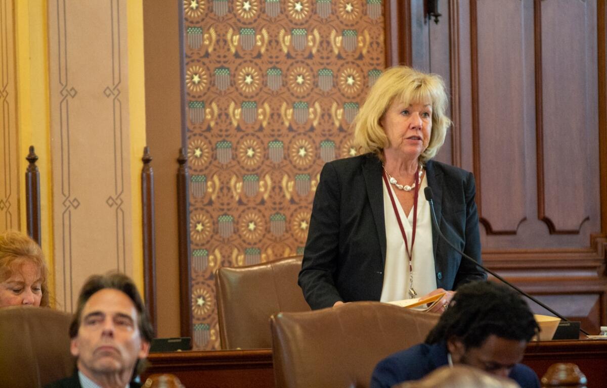 Sen. Julie Morrison, D-Lake Forest, presents a bill in the Illinois Senate on May 21, 2025. (Capitol News Illinois photo by Jerry Nowicki)