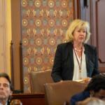 Sen. Julie Morrison, D-Lake Forest, presents a bill in the Illinois Senate on May 21, 2025. (Capitol News Illinois photo by Jerry Nowicki)