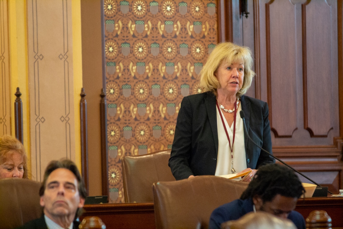 Sen. Julie Morrison, D-Lake Forest, presents a bill in the Illinois Senate on May 21, 2025. (Capitol News Illinois photo by Jerry Nowicki)
