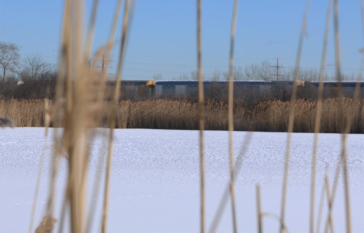 The Big Marsh Park restoration project and other nearby projects in the Calumet region sit on areas formerly used for landfills and for US Steel Works facilities. The Big Marsh Park has been open since 2016 with a bike park and a trail. (Medill Illinois News Bureau photo by Gabriel Castilho)