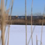 The Big Marsh Park restoration project and other nearby projects in the Calumet region sit on areas formerly used for landfills and for US Steel Works facilities. The Big Marsh Park has been open since 2016 with a bike park and a trail. (Medill Illinois News Bureau photo by Gabriel Castilho)