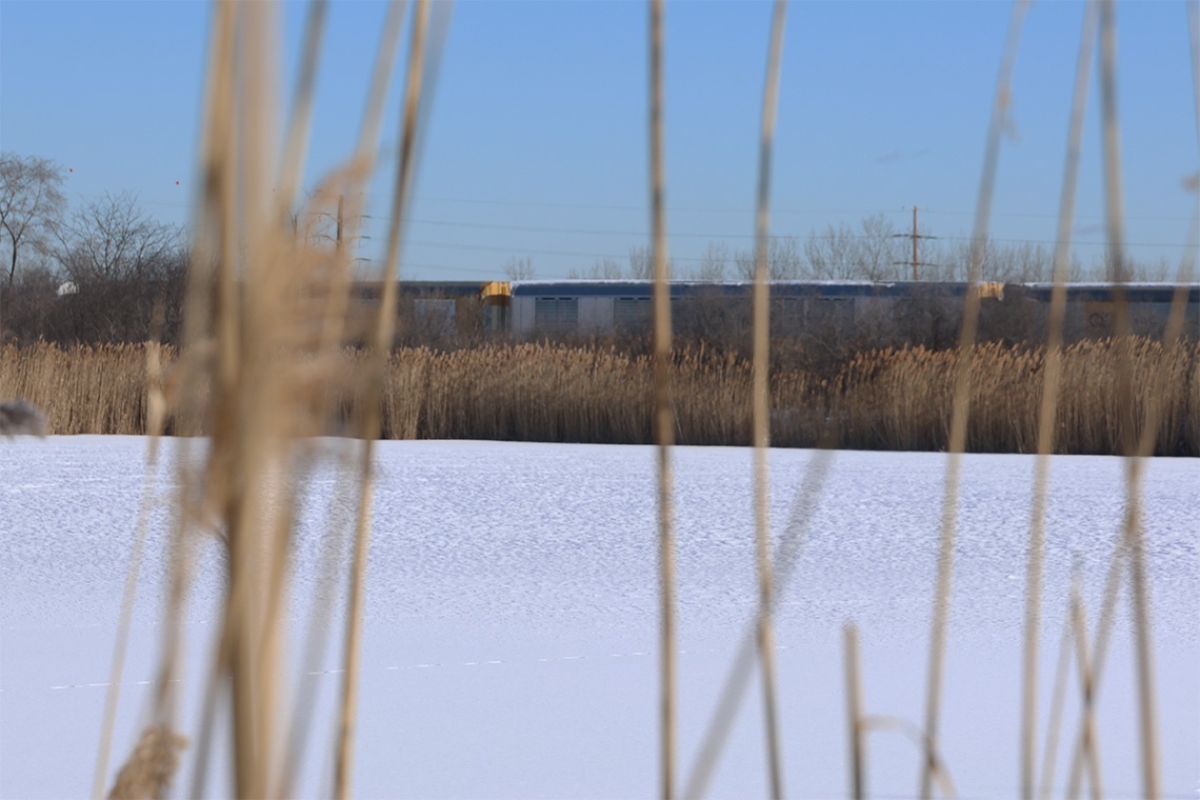 The Big Marsh Park restoration project and other nearby projects in the Calumet region sit on areas formerly used for landfills and for US Steel Works facilities. The Big Marsh Park has been open since 2016 with a bike park and a trail. (Medill Illinois News Bureau photo by Gabriel Castilho)
