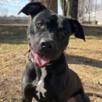 Jelly Bean -- Friends of SCAC DOTW