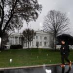 A person walks through falling snow at the White House on Thursday, March 12, 2026, in Washington. (AP Photo/Allison Robbert)
