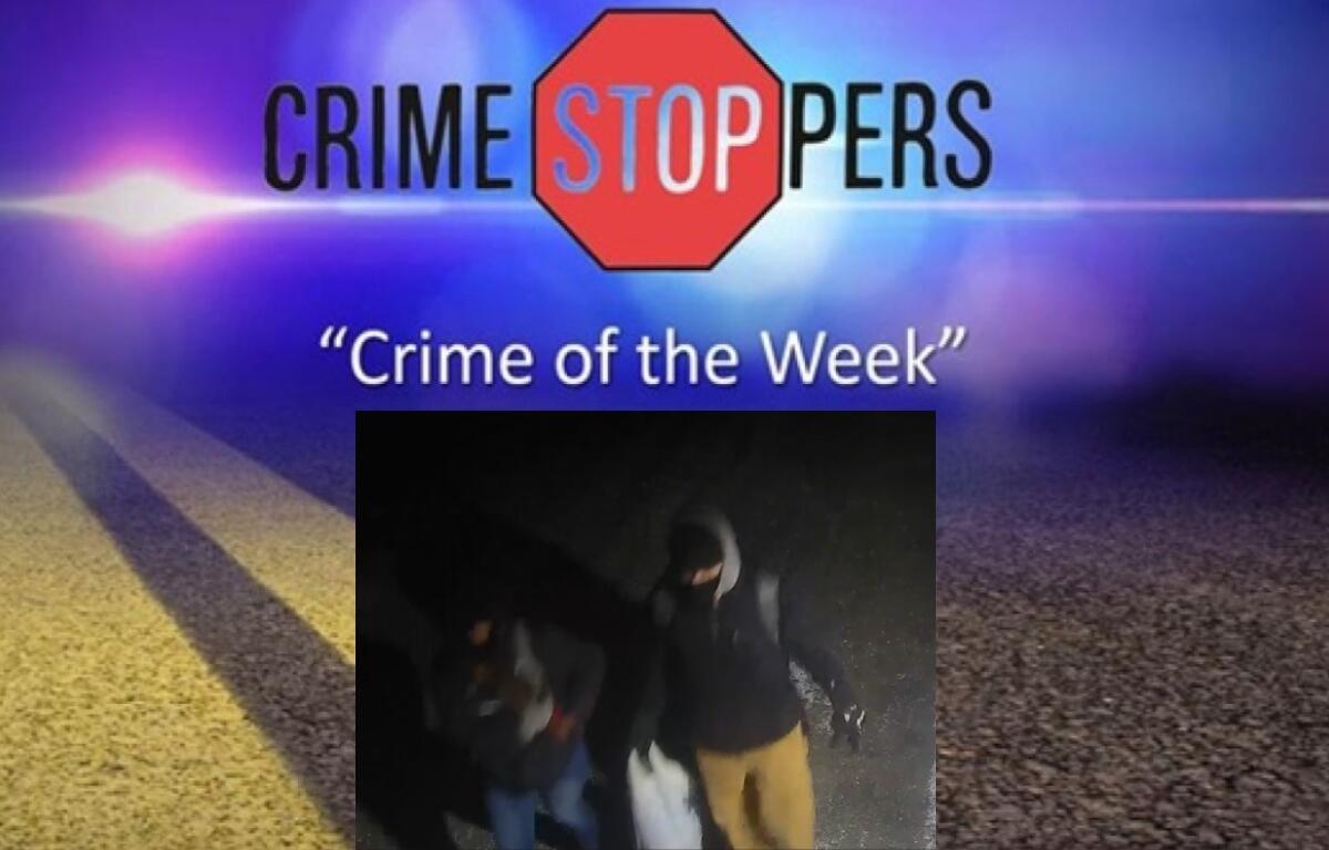 Can you help identify the suspects wanted in reported thefts and burglaries to storage lockers in Southern View?