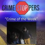 Can you help identify the suspects wanted in reported thefts and burglaries to storage lockers in Southern View?