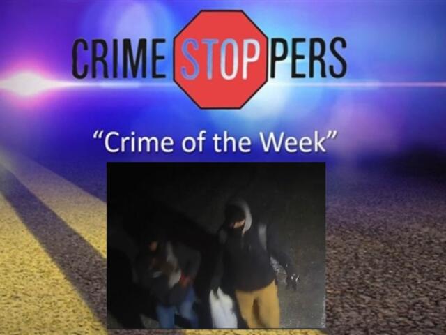 Can you help identify the suspects wanted in reported thefts and burglaries to storage lockers in Southern View?