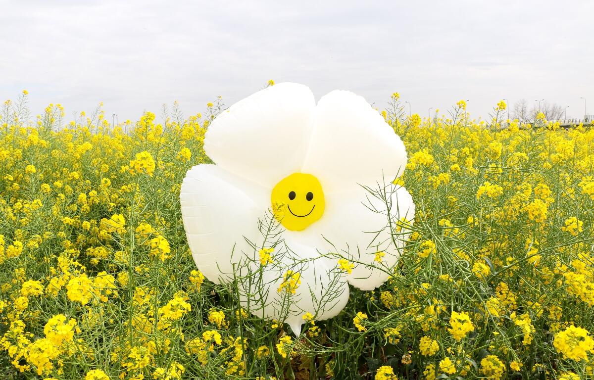 Spring can affect people who suffer from mental health issues, much like Winter also can.