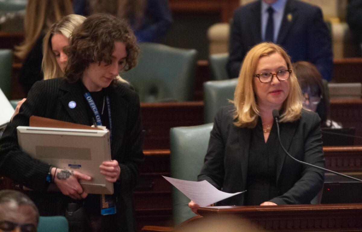 State Rep. Anna Moeller, D-Elgin, presents her Medicaid legislation on the House floor on Saturday, May 31, 2025. (Capitol News Illinois photo by Jerry Nowicki)