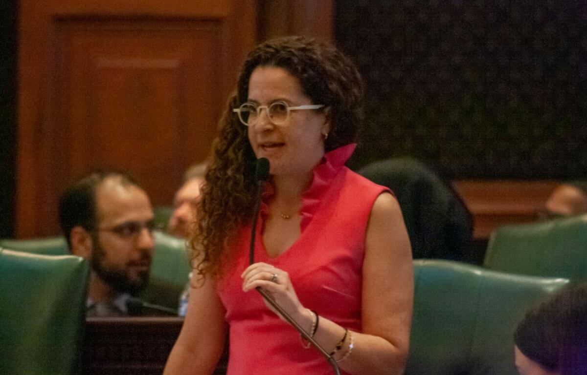 Rep. Mary Beth Canty, D-Arlington Heights speaks on the House floor April 17. Canty is the sponsor on a contentious human composting bill. (Capitol News Illinois photo by Jenna Schweikert)