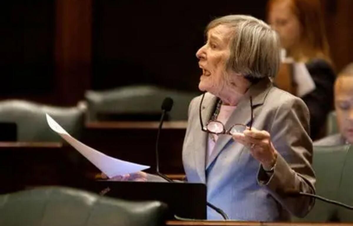 State Rep. Barbara Flynn Currie, speaking on the Illinois House floor.