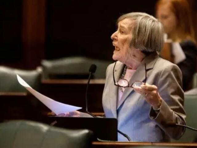 State Rep. Barbara Flynn Currie, speaking on the Illinois House floor.