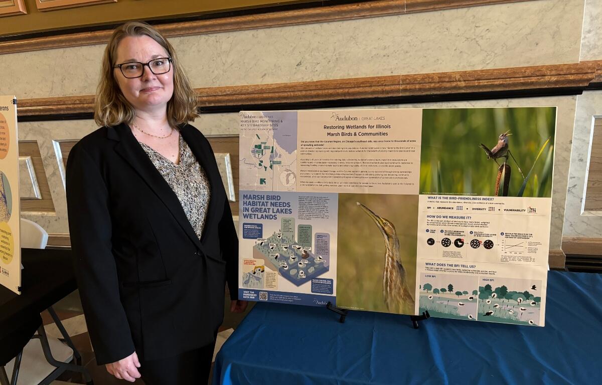 Woman in a black blazer stands beside a multi-panel poster board about marsh bird habitats.