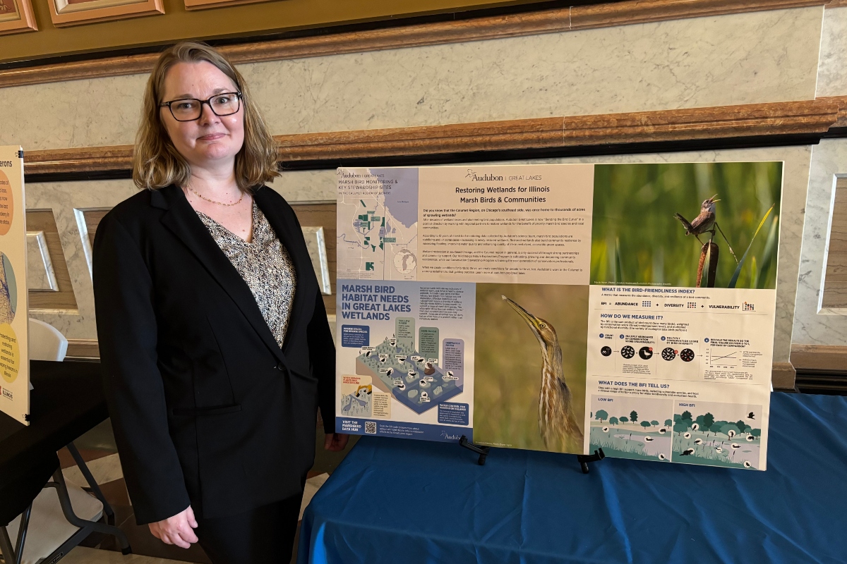 Woman in a black blazer stands beside a multi-panel poster board about marsh bird habitats.