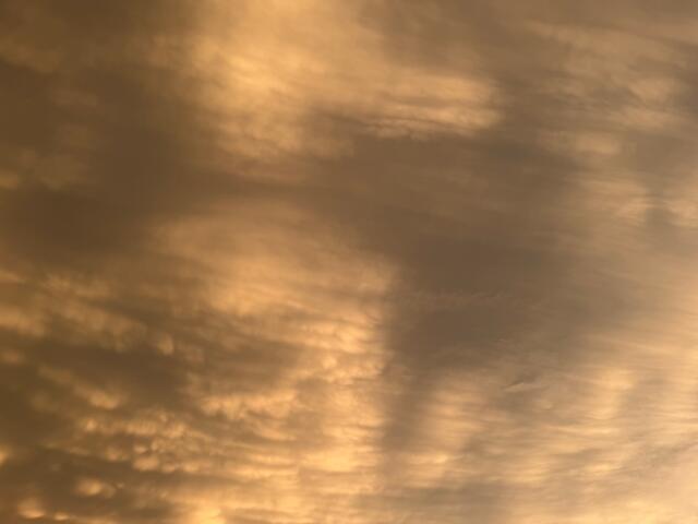 Clouds interacting with sun Monday evening outside the Capitol Media Group studios in Springfield.