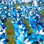 Blue pinwheels were placed at HSHS St. John's Children's Hospital for Child Abuse Prevention Month.