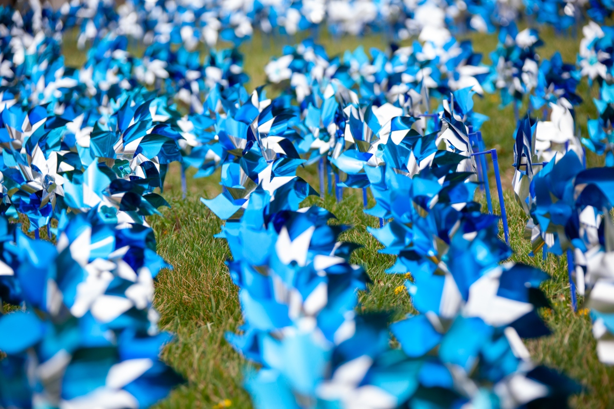 Blue pinwheels were placed at HSHS St. John's Children's Hospital for Child Abuse Prevention Month.