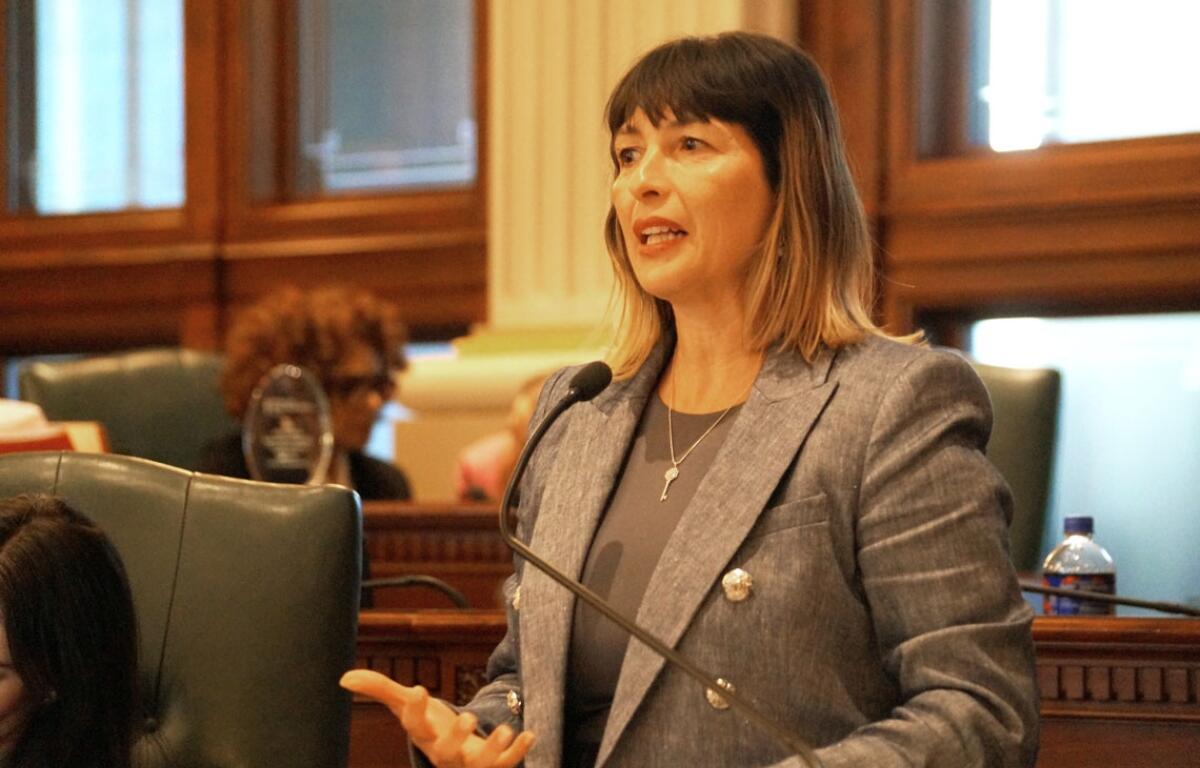State Rep. Eva-Dina Delgado speaks on the House floor on Wednesday, April 15. (Capitol News Illinois phot by Peter Hancock)