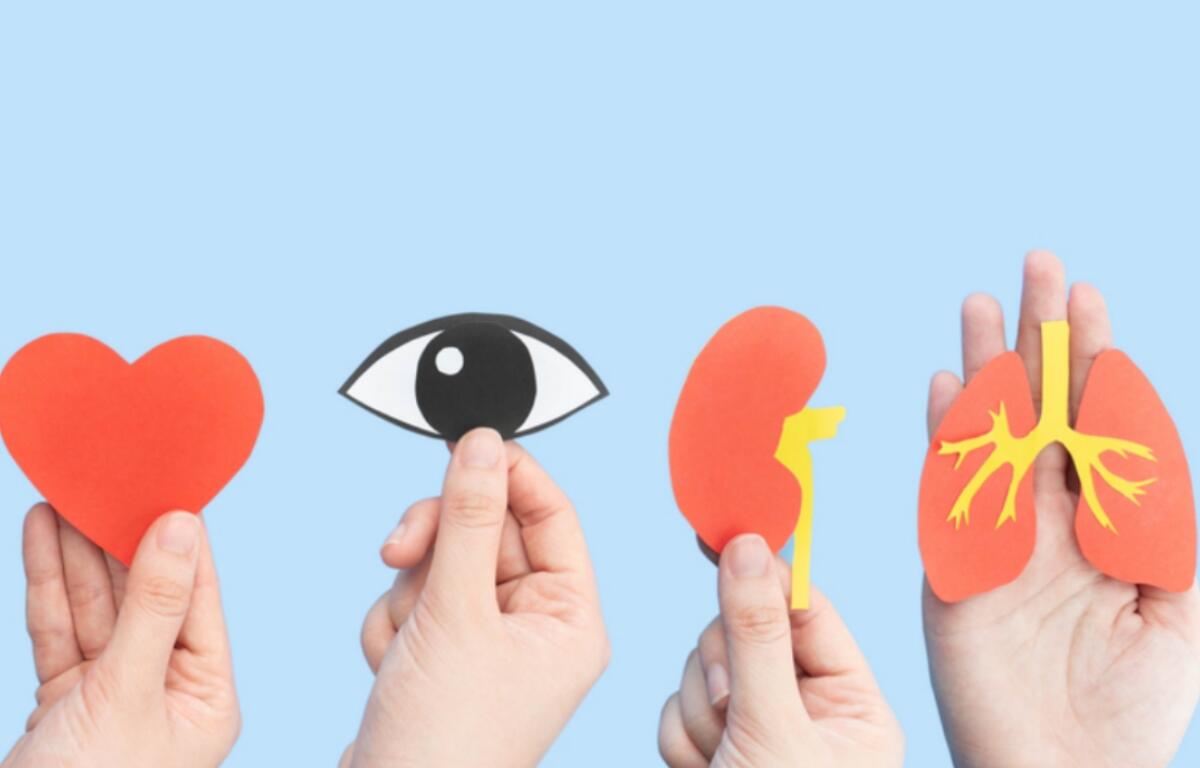 Hands hold cutouts of a heart, an eye, a kidney, and lungs against a blue background, conveying health awareness.