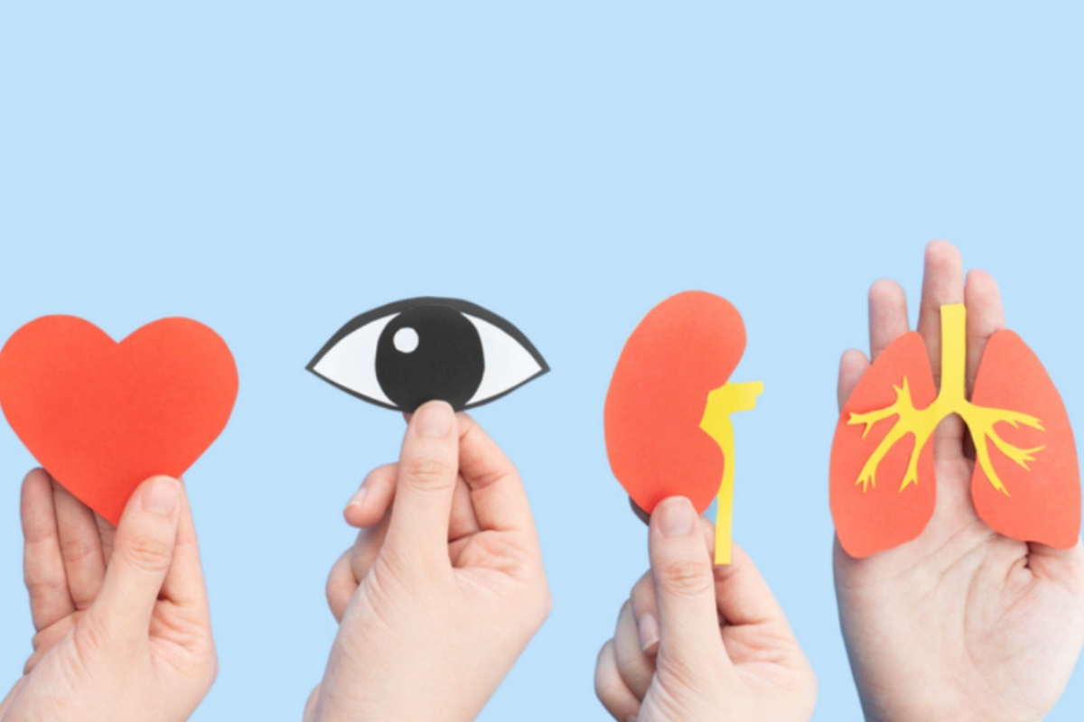 Hands hold cutouts of a heart, an eye, a kidney, and lungs against a blue background, conveying health awareness.