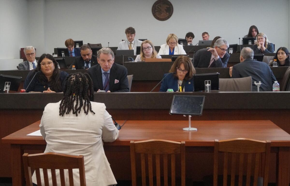 Members of the Senate education budget committee listen as Crystal Mallory, of the Illinois Federation of Teachers, testifies in favor of a bill calling for full funding of the state’s Evidence-Based Funding formula. (Capitol News Illinois photo by Peter Hancock)
