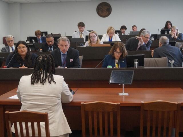Members of the Senate education budget committee listen as Crystal Mallory, of the Illinois Federation of Teachers, testifies in favor of a bill calling for full funding of the state’s Evidence-Based Funding formula. (Capitol News Illinois photo by Peter Hancock)