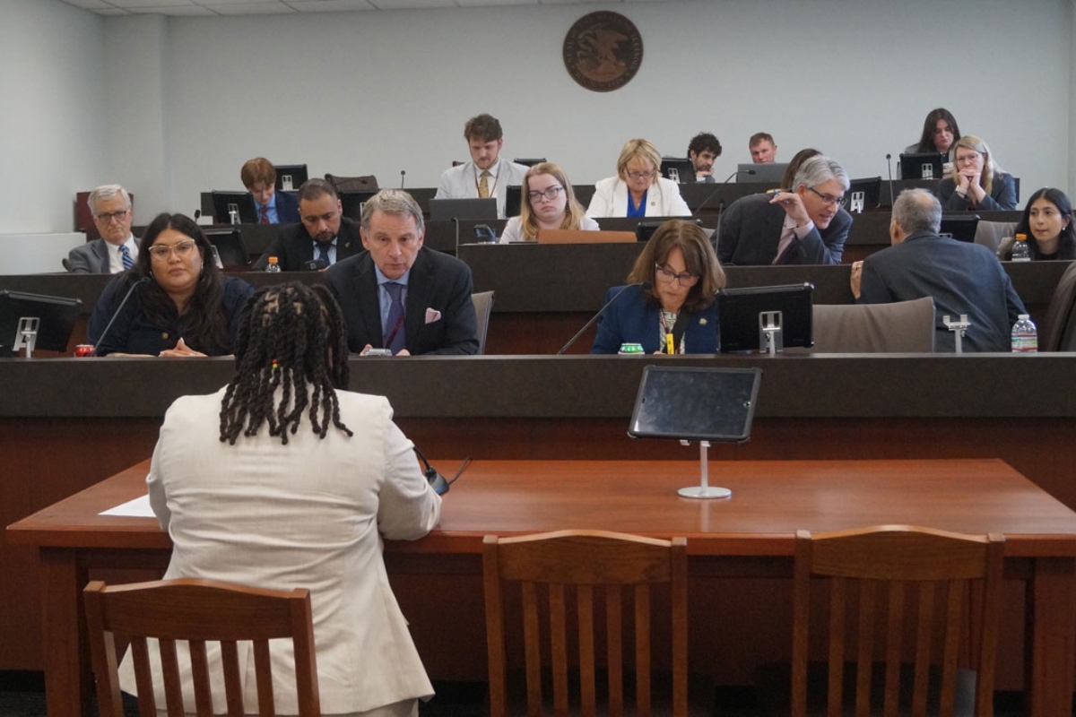 Members of the Senate education budget committee listen as Crystal Mallory, of the Illinois Federation of Teachers, testifies in favor of a bill calling for full funding of the state’s Evidence-Based Funding formula. (Capitol News Illinois photo by Peter Hancock)