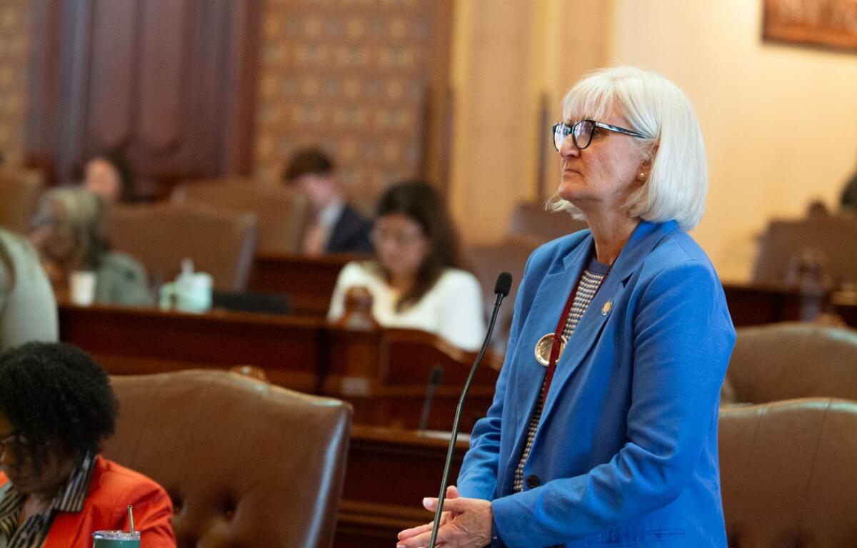 State Sen. Mary Edly-Allen, the bill’s sponsor, speaks on the Senate floor May 20. Edly-Allen’s bill seeks to regulate the most advanced forms of AI models. (Capitol News Illinois photo by Jerry Nowicki)