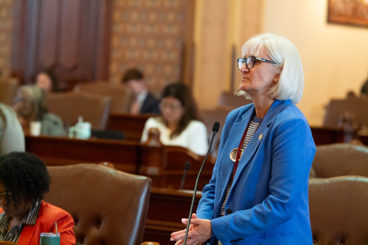 State Sen. Mary Edly-Allen, the bill’s sponsor, speaks on the Senate floor May 20. Edly-Allen’s bill seeks to regulate the most advanced forms of AI models. (Capitol News Illinois photo by Jerry Nowicki)