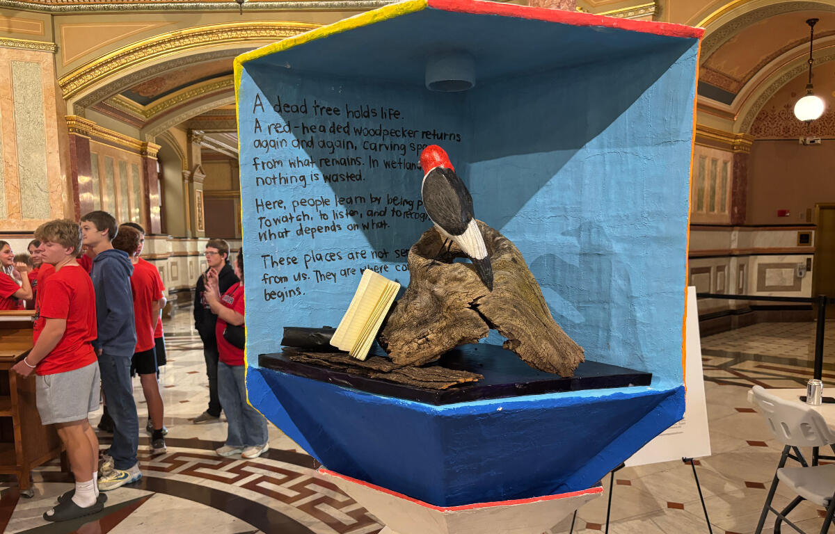 Blue exhibiti​on case with a carved log and a red-headed woodpecker perched on it, an open book, and handwritten text on a blue backdrop; students in red shirts nearby.
