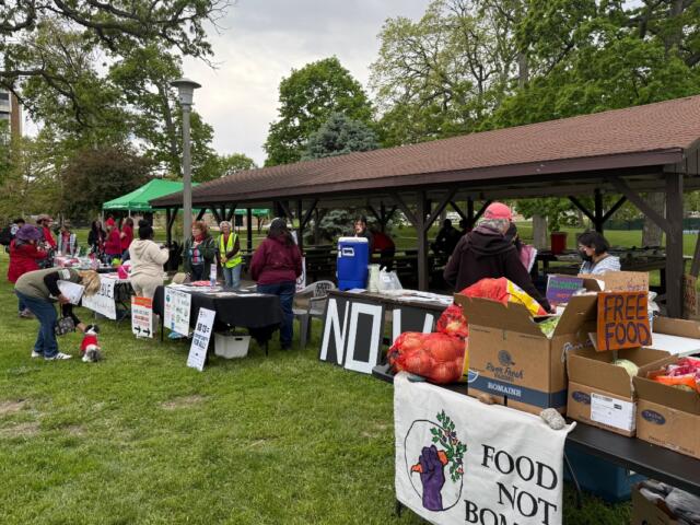 Park scene of volunteers distributing free food from tables under a pavilion; signs say 'Free Food' and 'Food Not Bombs'.