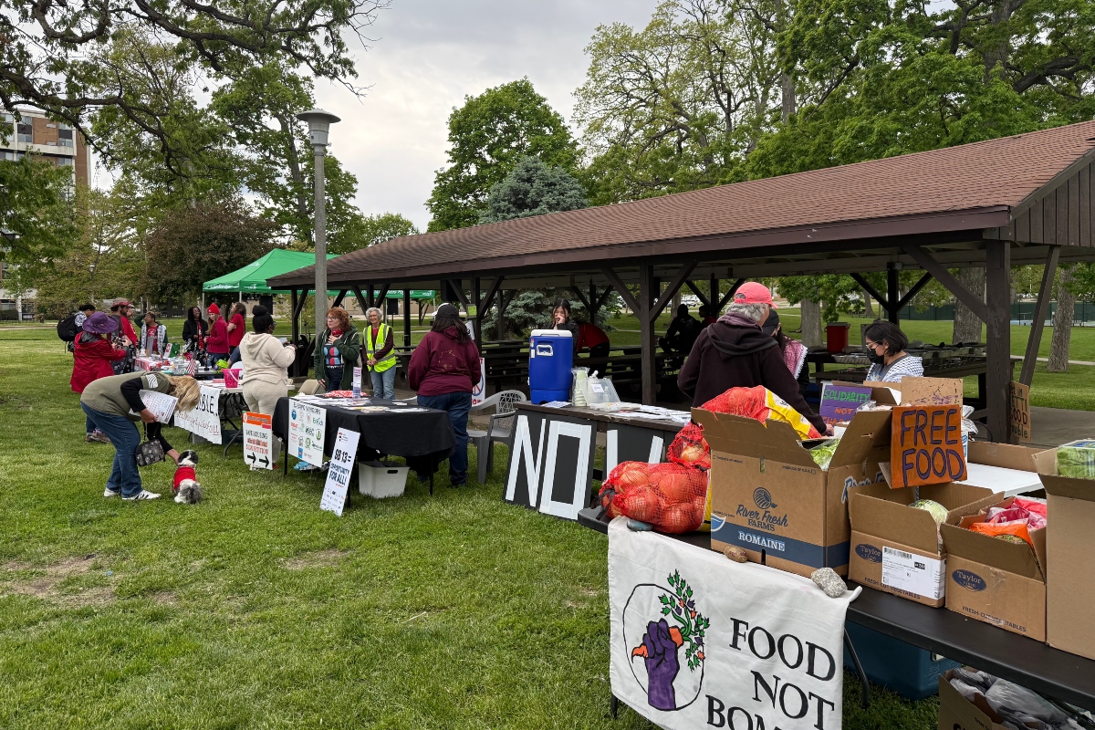 Park scene of volunteers distributing free food from tables under a pavilion; signs say 'Free Food' and 'Food Not Bombs'.