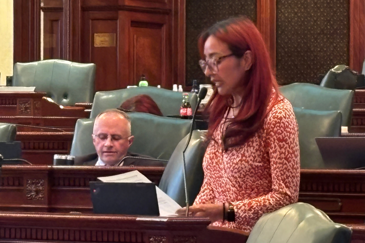 Woman with long red hair and glasses speaks at a microphone in a wood-paneled legislative chamber close to a desk and papers.