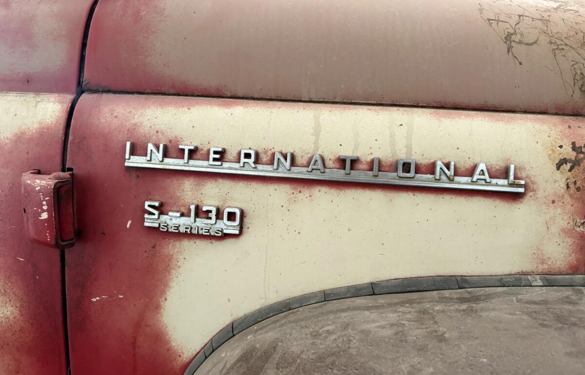 The make and series are displayed on the side of a 1956 International Harvester S-130 pickup truck in Mason, Ill., Sunday, May 24, 2026. (AP Photo/Holly Meyer)